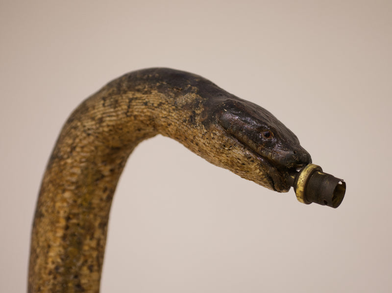 Victorian Twelve Foot Taxidermy African Rock Python Lamp Stand