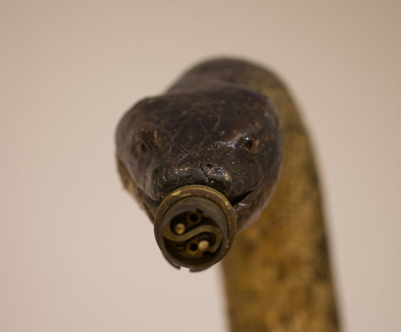 Victorian Twelve Foot Taxidermy African Rock Python Lamp Stand