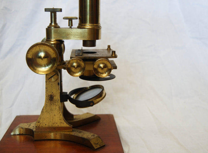 Victorian Cased Monocular Microscope by Watson & Son of 313 High Holborn, London