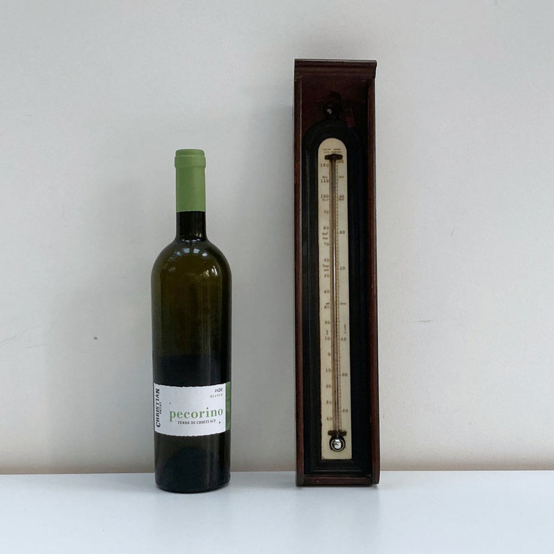 Large Georgian Wall Thermometer in Case by Matthew Berge London