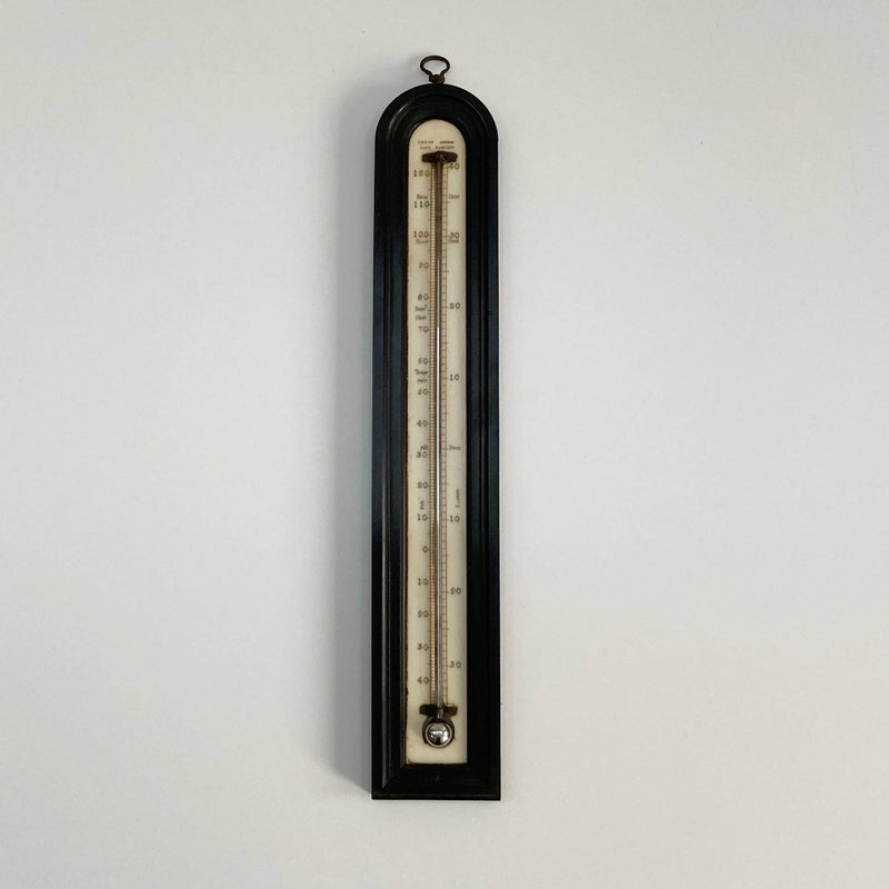 Large Georgian Wall Thermometer in Case by Matthew Berge London