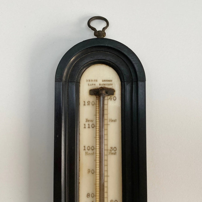 Large Georgian Wall Thermometer in Case by Matthew Berge London