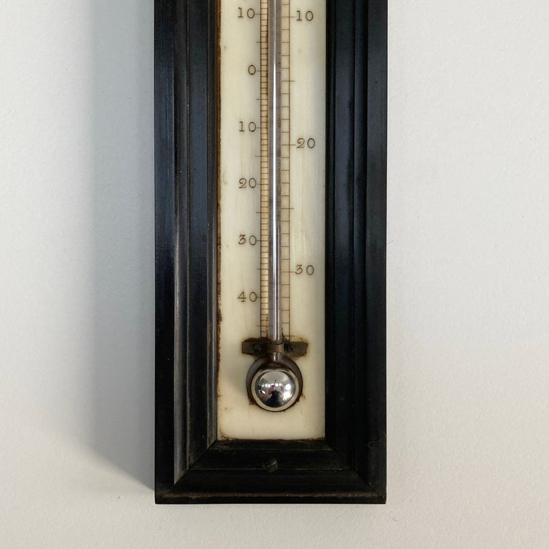 Large Georgian Wall Thermometer in Case by Matthew Berge London