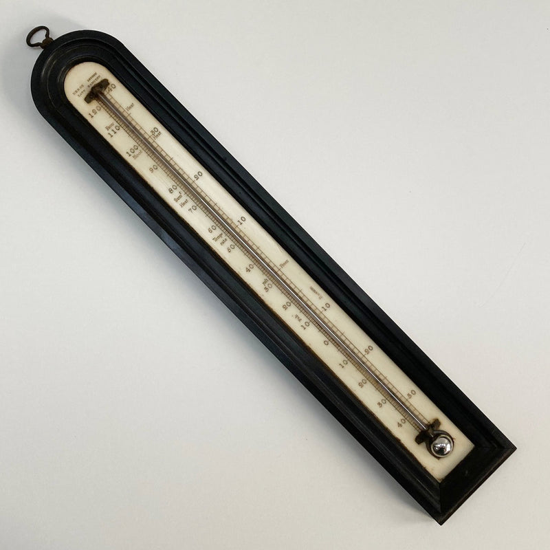 Large Georgian Wall Thermometer in Case by Matthew Berge London