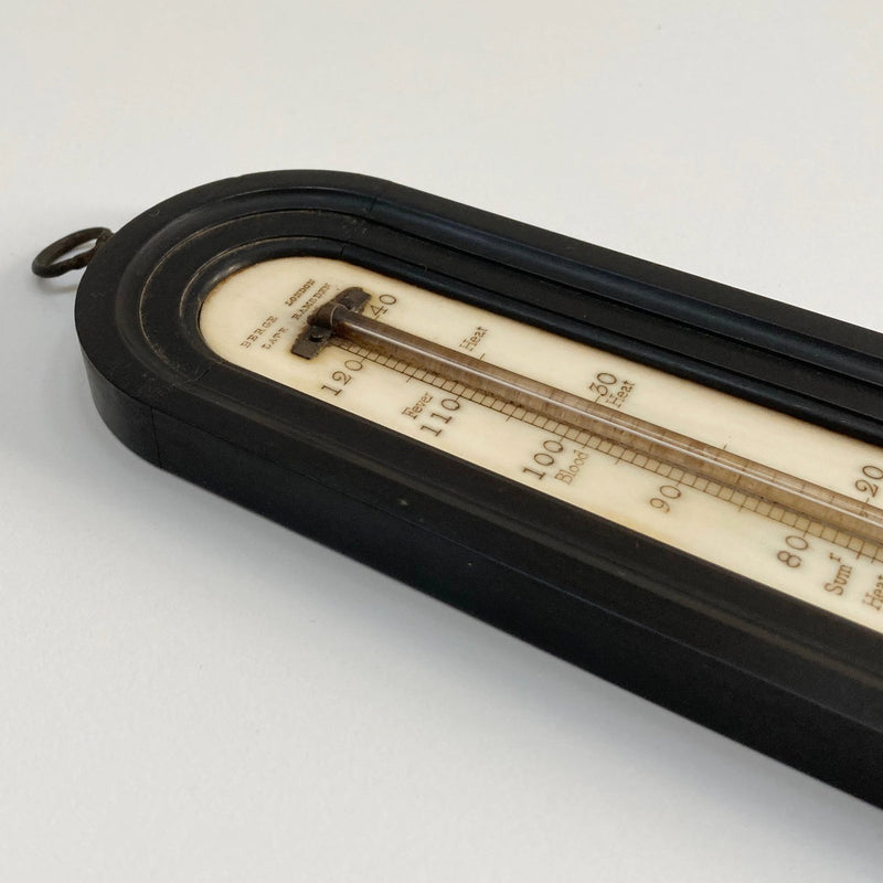 Large Georgian Wall Thermometer in Case by Matthew Berge London