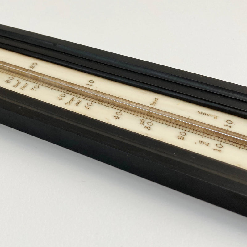 Large Georgian Wall Thermometer in Case by Matthew Berge London