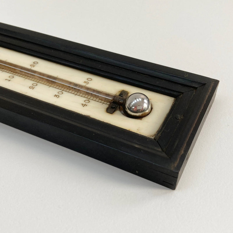 Large Georgian Wall Thermometer in Case by Matthew Berge London