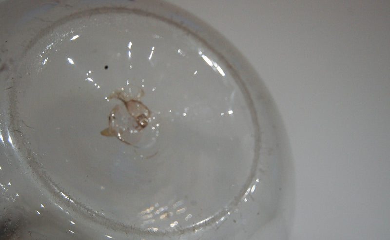 Pair of Victorian Blown Glass Chemist Carboys or Apothecary Jars